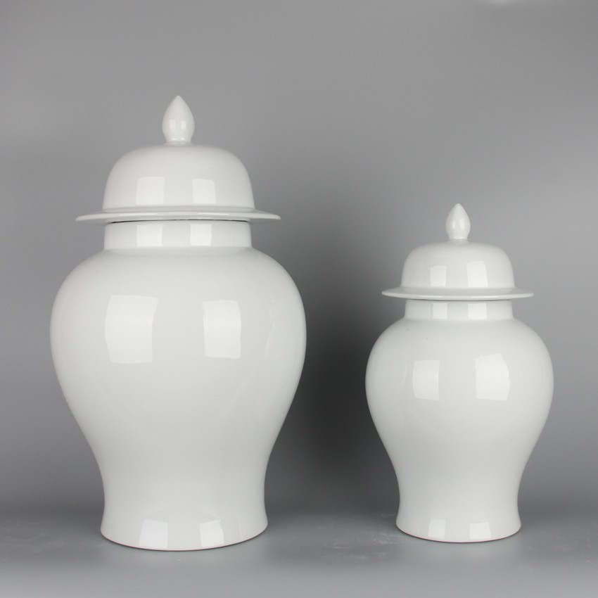 White Plain Designs Ginger Jar VASE with Lid/Ceramic VASE or Flower vase for Home Decor (White Plain Designs )