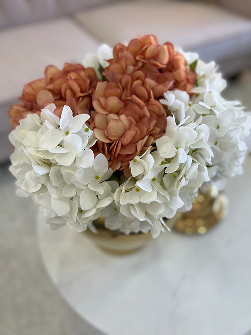 Peach Hydrangea flower stem